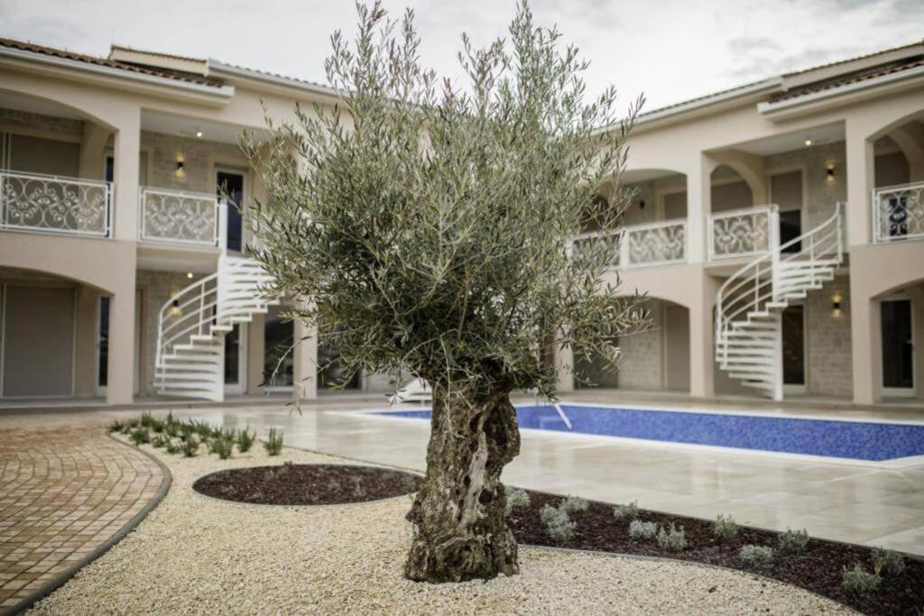 Appartement Luka *